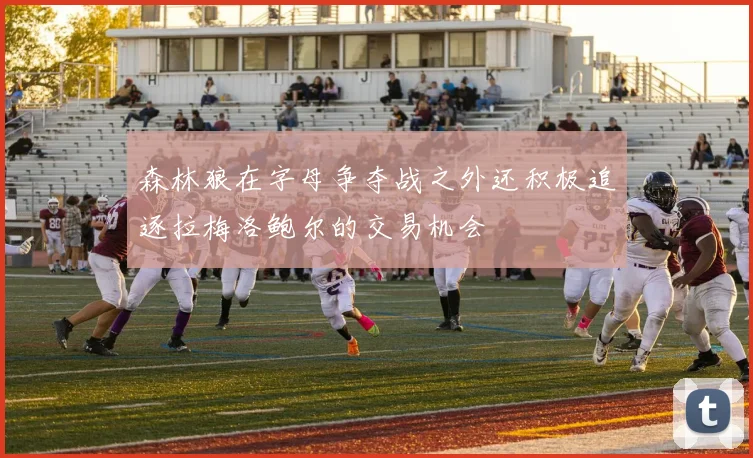 森林狼在字母争夺战之外还积极追逐拉梅洛鲍尔的交易机会