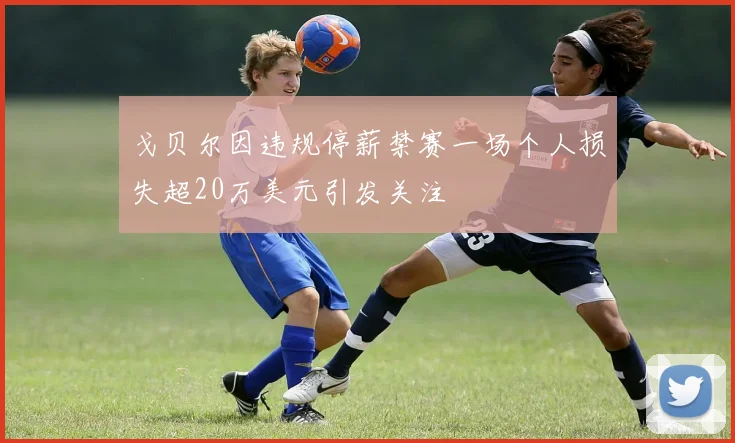 戈贝尔因违规停薪禁赛一场个人损失超20万美元引发关注