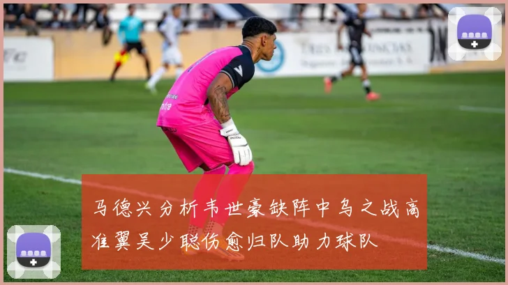 马德兴分析韦世豪缺阵中乌之战高准翼吴少聪伤愈归队助力球队